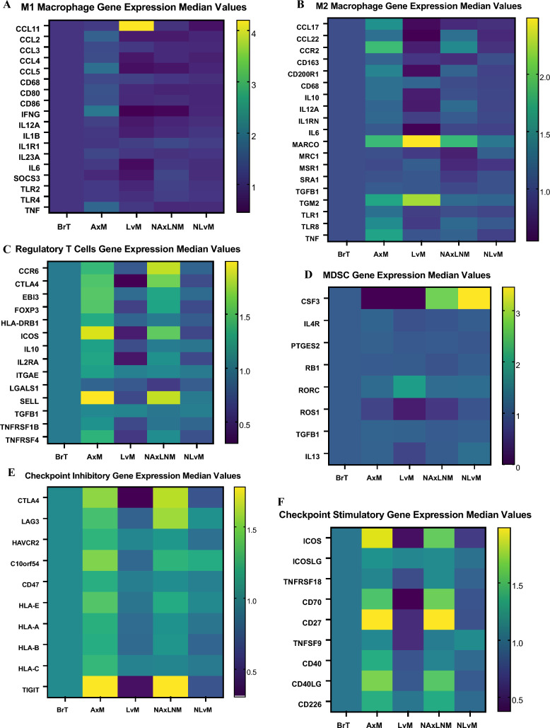 Six heatmaps of median immune gene expression across metastatic sites