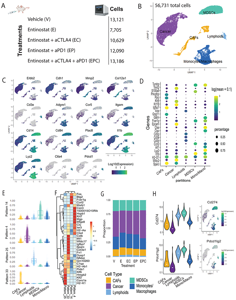 Single-cell RNA-seq UMAP atlas coloring cancer, MDSC, macrophage, lymphoid and fibroblast populations with marker dot plots