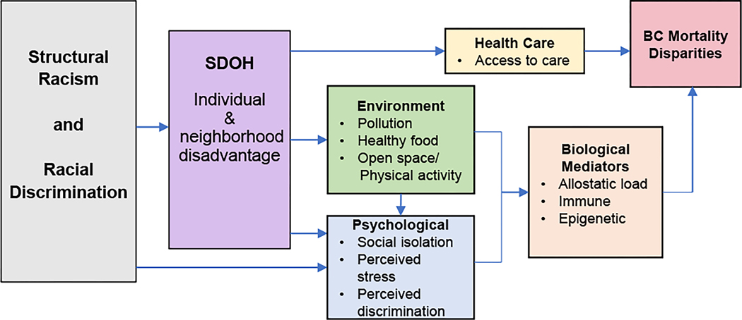 Flow diagram from structural racism and social determinants of health to breast cancer mortality disparities