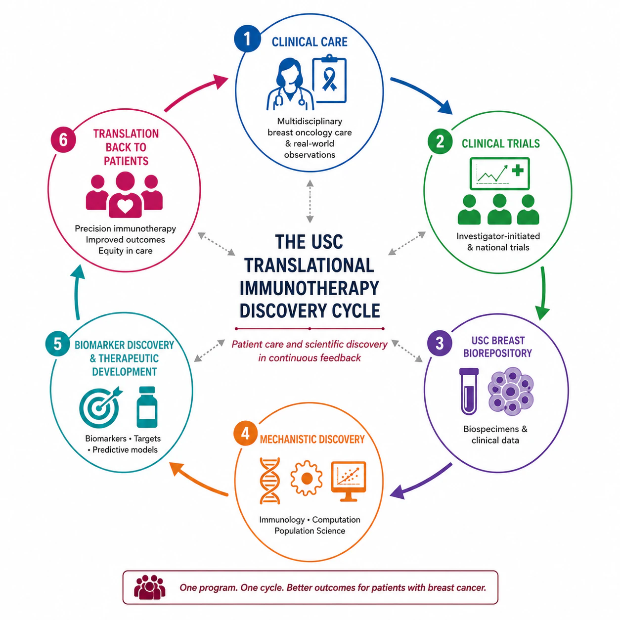 The USC Translational Immunotherapy Discovery Cycle — a six-stage feedback loop: (1) Clinical Care, (2) Clinical Trials, (3) USC Breast Biorepository, (4) Mechanistic Discovery, (5) Biomarker Discovery & Therapeutic Development, and (6) Translation back to patients.