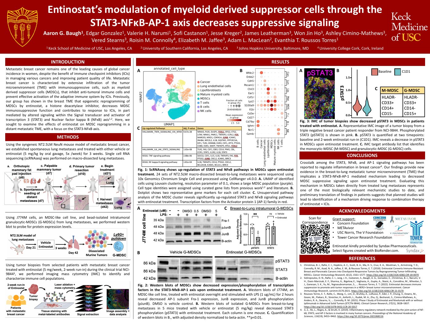 Entinostat's modulation of myeloid derived suppressor cells through the STAT3-NFκB-AP-1 axis decreases suppressive signaling — poster