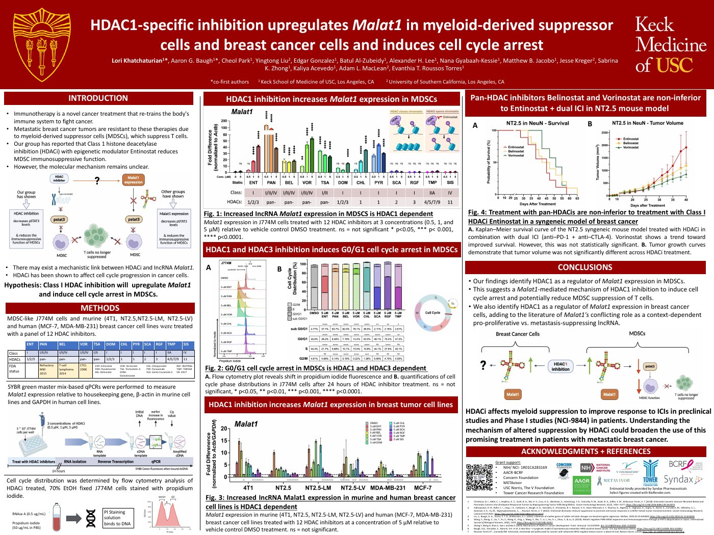 HDAC1-specific inhibition upregulates Malat1 in myeloid-derived suppressor cells and breast cancer cells and induces cell cycle arrest — poster