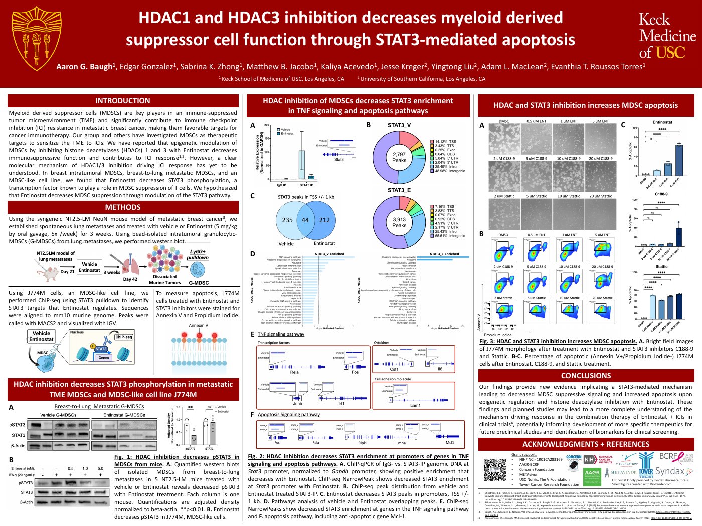 HDAC1 and HDAC3 inhibition decreases myeloid derived suppressor cell function through STAT3-mediated apoptosis — poster