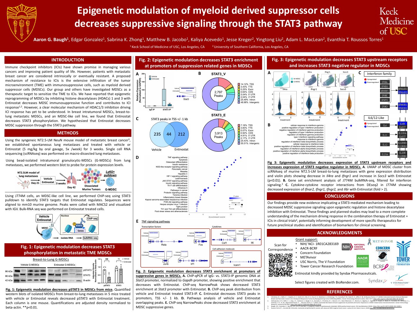 Epigenetic modulation of myeloid derived suppressor cells decreases suppressive signaling through the STAT3 pathway — poster