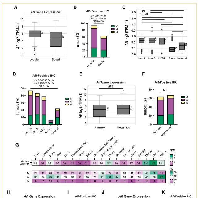 Figure comparing androgen receptor gene expression and protein positivity across breast cancer subtypes.