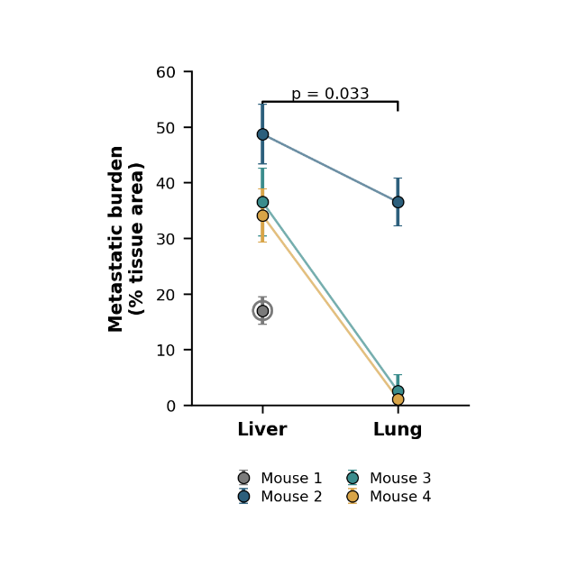 Metastatic burden measured in liver and lung tissue across four mice.
